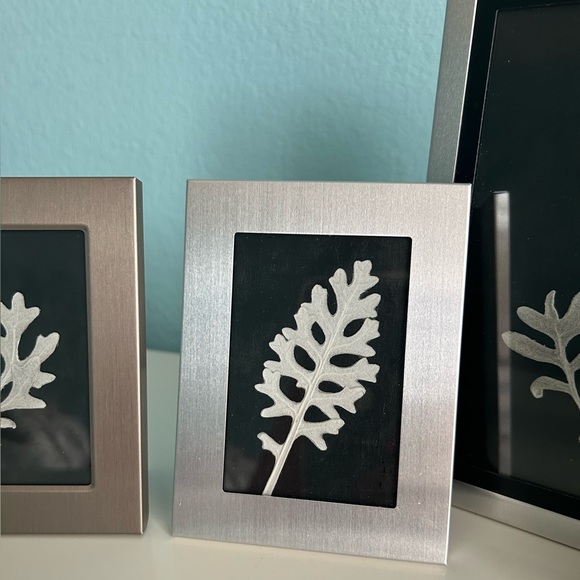 Handmade Home Décor- Pressed Dusty Miller in Silver Frames (Set of 4) - Picture 9 of 11